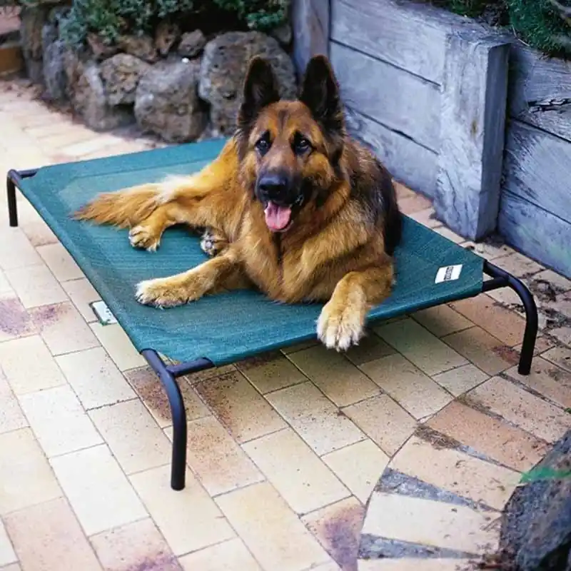 Cama mascota grande nortene 110x80x20cm - Accesorios para mascotas