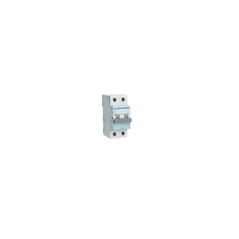 Magnetotermico hager 2 polos gris 16a - ICP