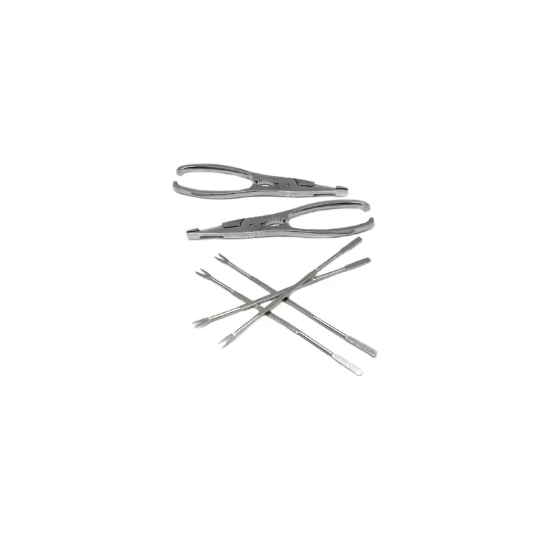 Tenaza y pincho marisco set vin bouquet - Cubiertos para marisco