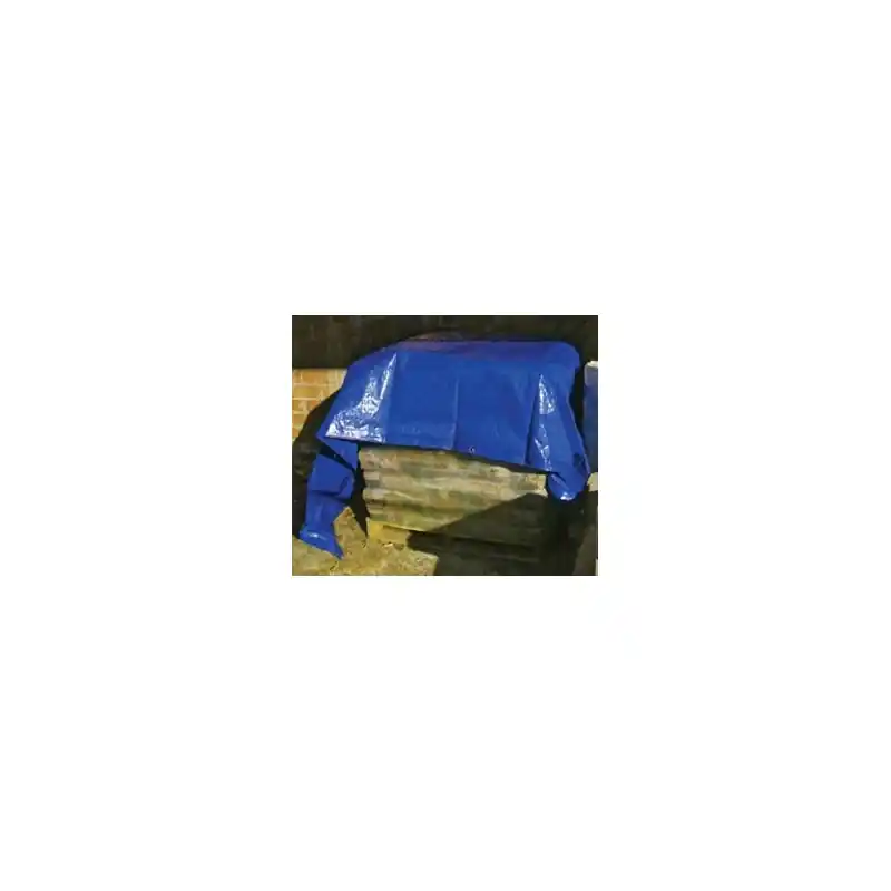 Toldo polietileno 4 x 6 m standard 90 gr azul - Toldo impermeable