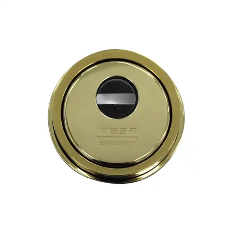 Escudo alta seguridad tesa e900 laton pulido dorado - Bombines y cilindros