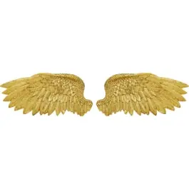 Deco Pared Angel Wings (2/Set) - Kare Design