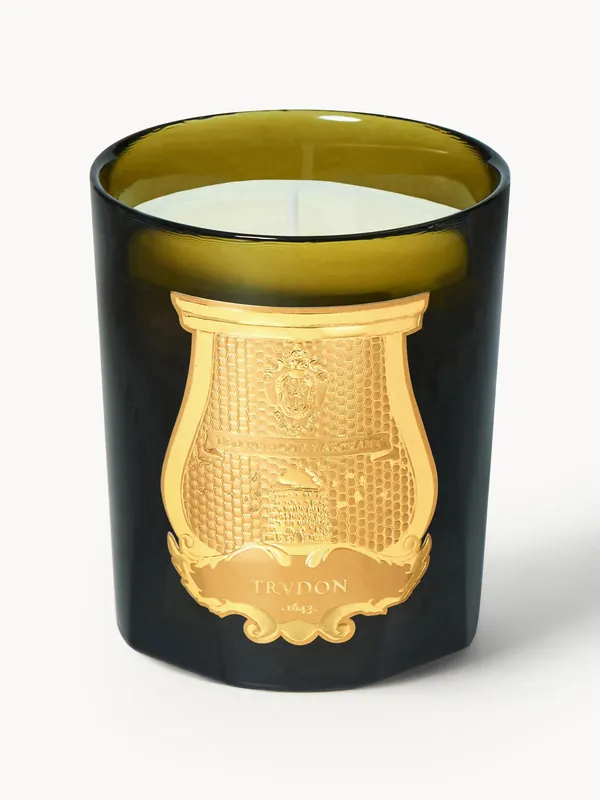 Vela perfumada artesanal Gabriel (madera de cachemira, musgo) - Trudon