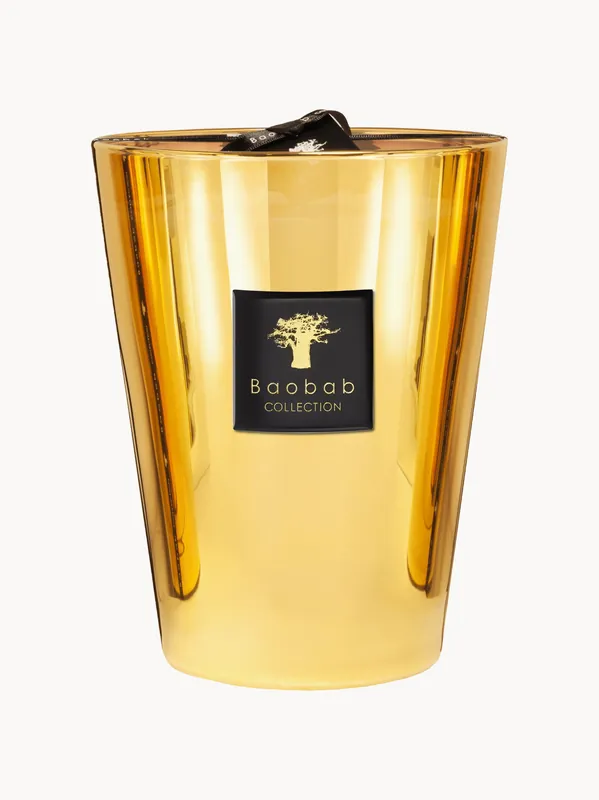 Vela perfumada de cinco mechas Exclusives (jazmín, galbano, almizcle) - Baobab
