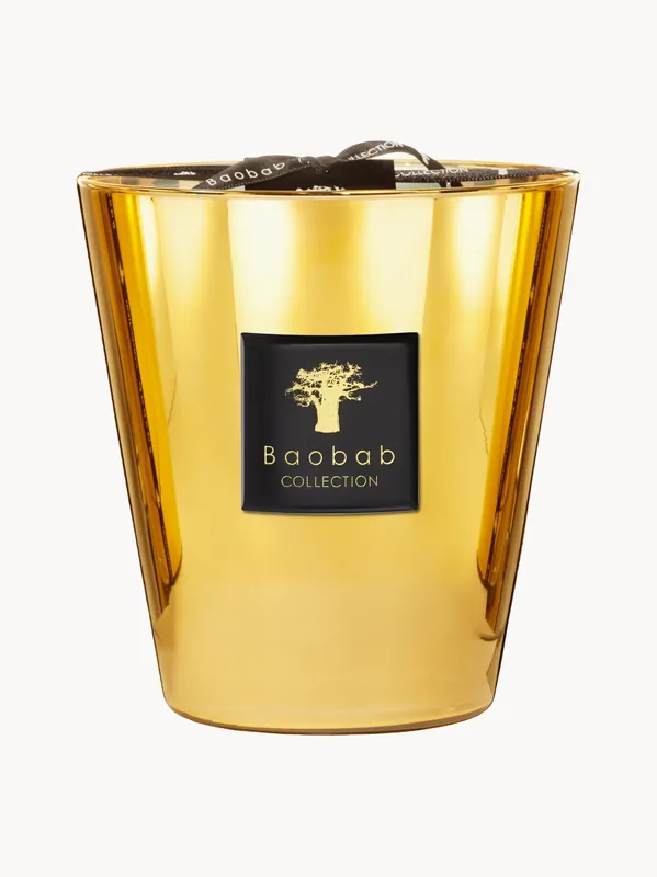 Vela perfumada de cuatro mechas Exclusives (jazmín, galbano, almizcle) - Baobab