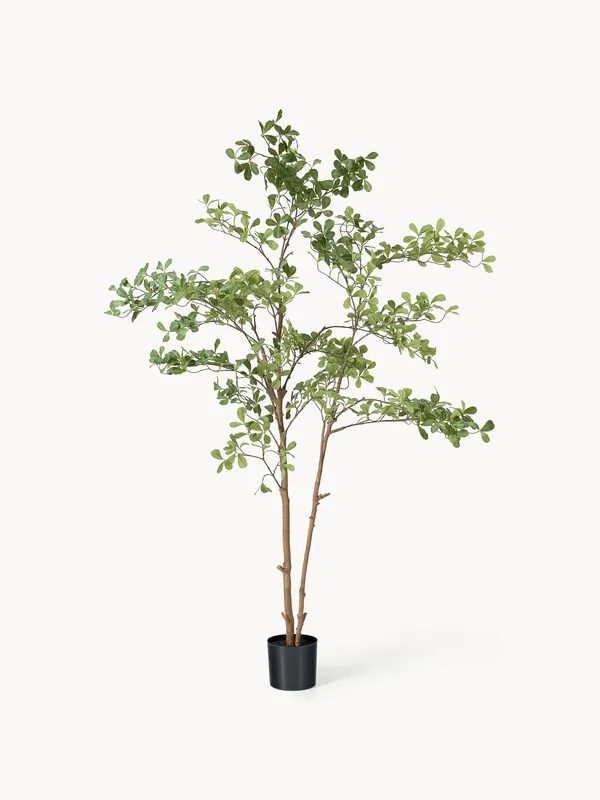 Planta artificial Tropical Almond - Botané