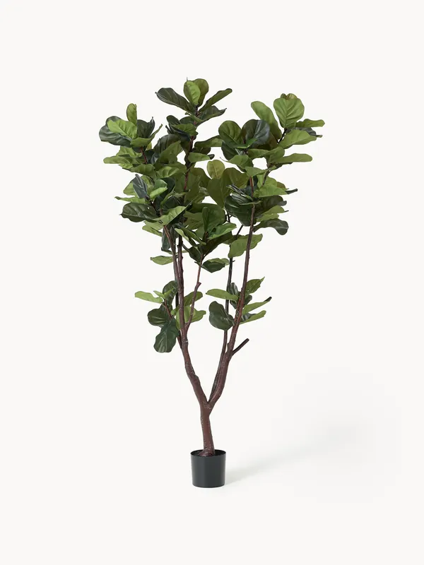 Planta artificial Fiddle Leaf Fig - Botané