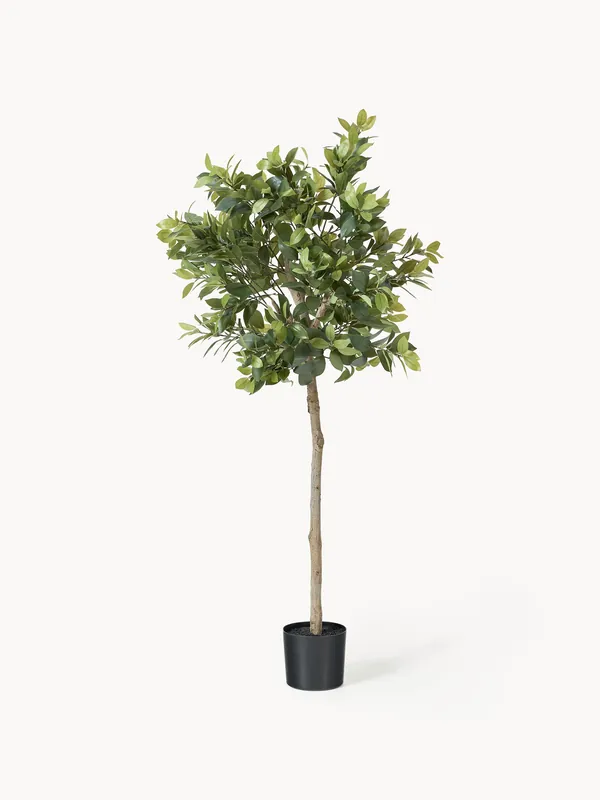 Planta artificial Money Tree - Botané