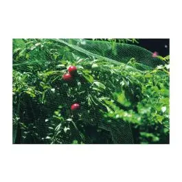Malla anti-pajaro 4x12m verde natuur