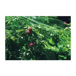 Malla anti-pajaro 8 x 10 m verde natuur
