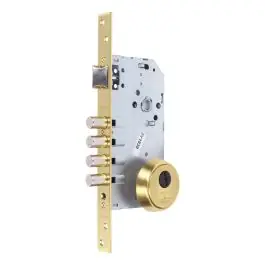 Cerradura seguridad r200b entrada 60mm escudo e700 30-30 laton pulido tesa