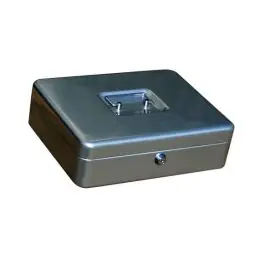 Caja caudales kylate 250x180x90mm plata n.3 - Vivahogar