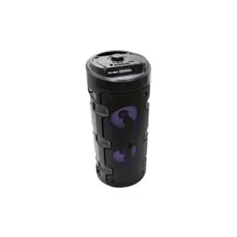 Altavoz karaoke portatil sd-usb-fm microfono con cable elbe