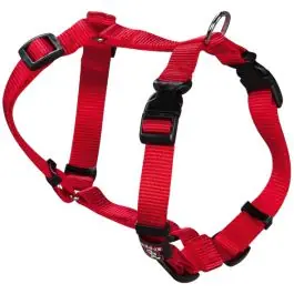 Collar mascota ancho 1cm cab 23a35cm tronco 25a32,5cm arppe