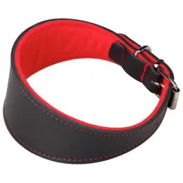 Collar mascota galgo arppe cuero ro superflet 2154014501