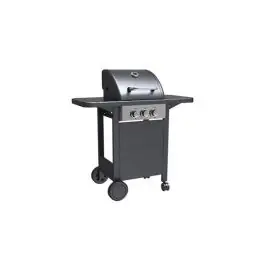 Barbacoa gas 2 quemadores + 1 parrilla ironside garden