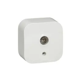 Base tv ip21 forix legrand