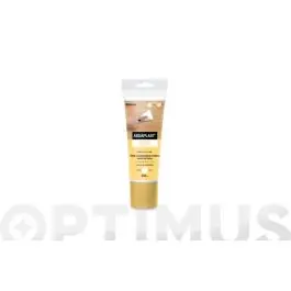 Masilla aguaplast plastica tubo 200 ml beissier