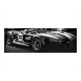 Cuadro de Coche Clásico Shelby Cobra con Marco Blanco y Negro 81-482