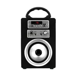 Altavoz Karaoke INFINITON Bluetooth, Radio, USB, SD 091210 - TV y Electrónica