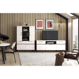 Composición de Salón 260 cm Acabado en Ébano y Albian OTTO 102 - Estancias
