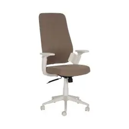 Silla de Ruedas Taupe Regulable con Reposabrazos y Respaldo Ajustable 613246 - Sillas